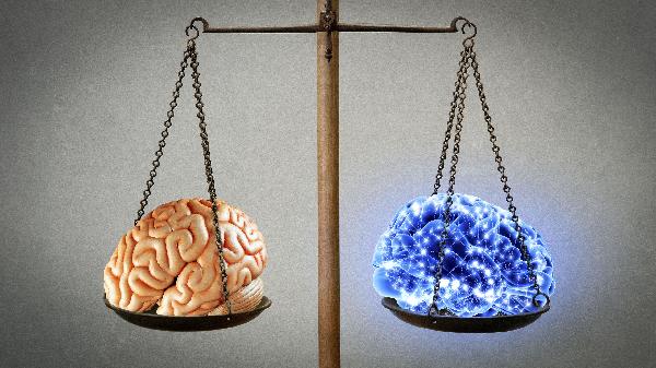 Kecerdasan Tanpa Pendidikan Jiwa: Akar Kerusakan Moral Menurut Al-Ghazali